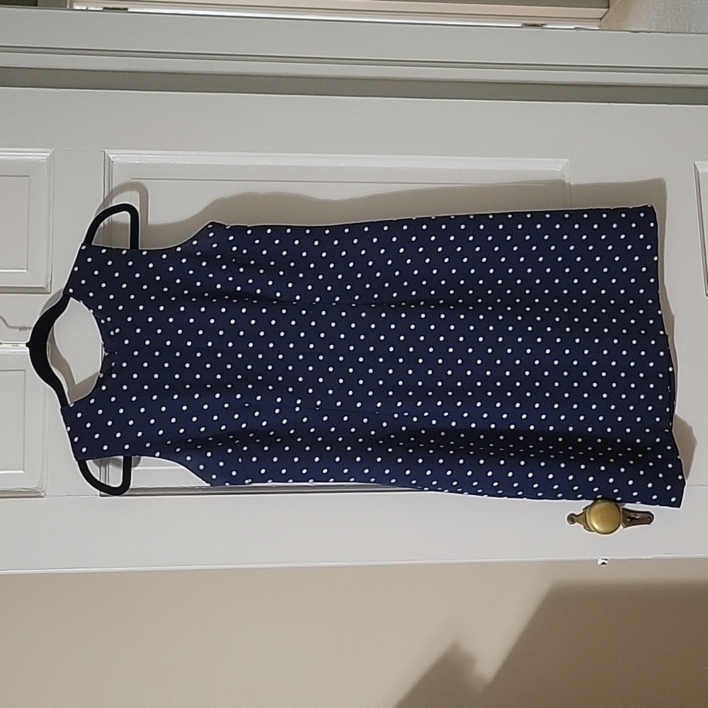 Sag Harbor Petite Blue and White Polka Dot Dress in size 10